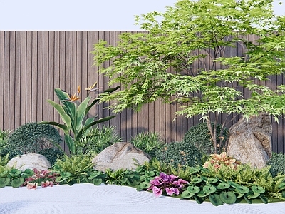 庭院植物组合 植物石头组合 庭院植物造景 大吴风草 肾蕨