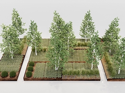 户外锈板花坛花钵景观树池 树池花坛 生锈铁板花坛绿植乔木灌木组合