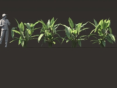 异形植物 外星生物 卡通风格化