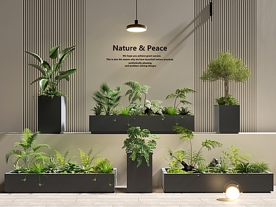 现代花池 花坛 植物堆 绿植花卉 景观小品 庭院景观