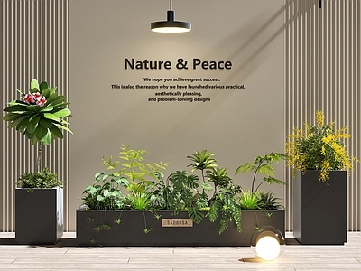 现代花池 花坛 堆 花卉 小品 庭院