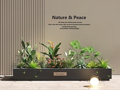 现代花池 花坛 堆 花卉 小品 庭院