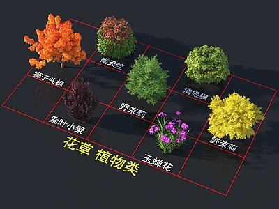南天竺 清姬枫 狮子头枫 野茉莉 玉蝉花 紫叶小檗灌木花草 植物类