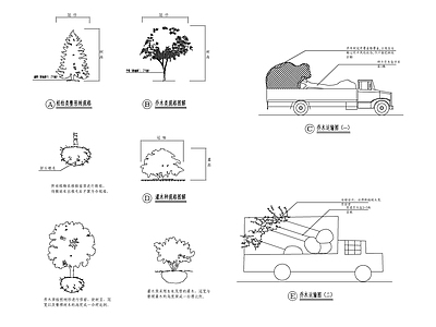 乔灌木运输种植规格图解 施工图