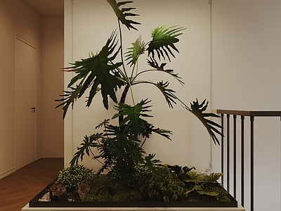 法式植物造景