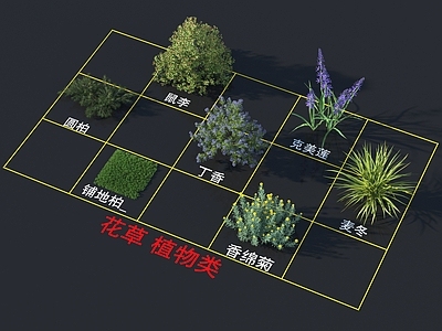 鼠李 克美莲 圆柏 丁香 麦冬 铺地柏 香绵菊 灌木花草 植物类
