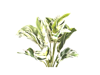 现代绿植油画竹芋