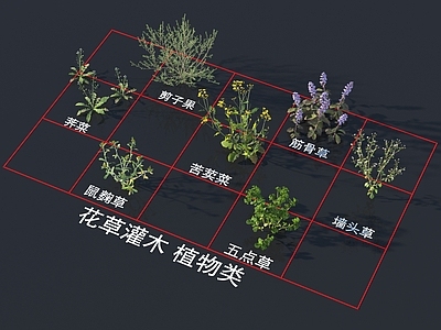 荠菜 剪子果 筋骨草 苦荬菜 墙头草 鼠麴草 五点草 灌木花草 植物类