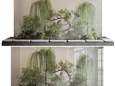 室内玻璃植物