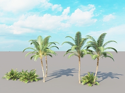 海边棕榈树