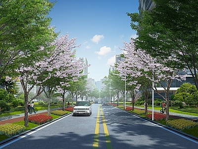 现代街道 行道树