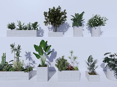 绿植花箱 绿植组合 植物盆栽 植物堆 户外绿植 移动水泥花池