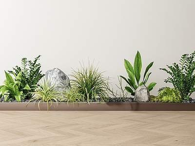 现代植物组合 绿植堆 盆景