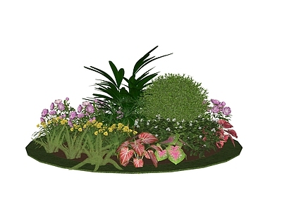 植物组合 植物堆 花镜 花草花卉 海芋 芍药 狐尾天门冬 棕竹 冬青