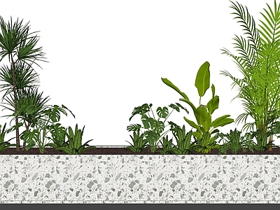 热带绿植花槽组合