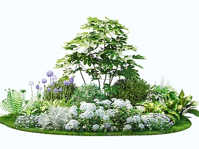 植物组合