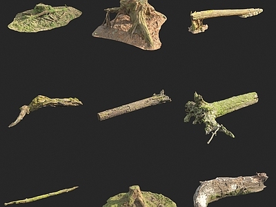 枯树 树干 树枝木头桩