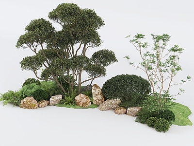 植物组合 灌木