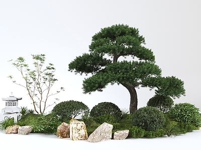 松树植物组合 植物堆