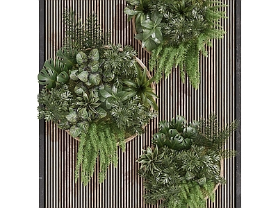 绿植墙