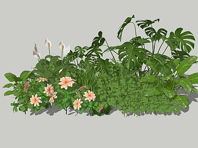 花草组合 组团 花镜 堆