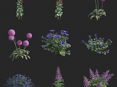 花草 灌木