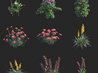 花草 灌木