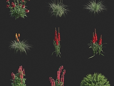 花草 灌木