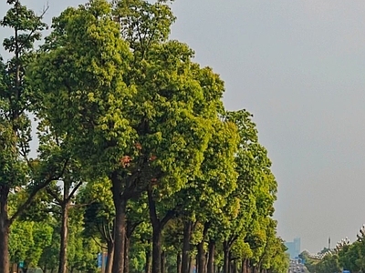 无缝道路外景