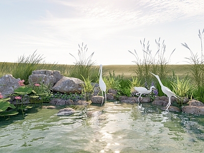 河道 水生植物 生态湿地