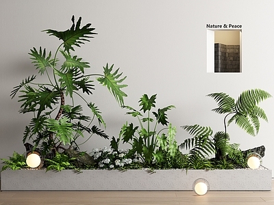 绿植花箱 植物组合 盆栽 植物堆 景观造景 庭院小品