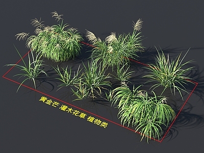 花草组合
