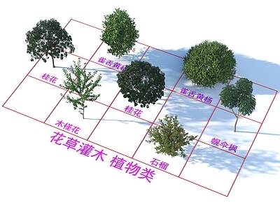 其他树木