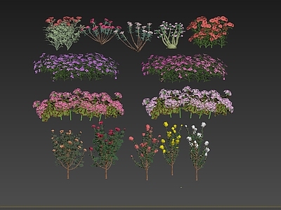 花草组合
