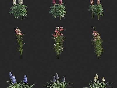 花草组合