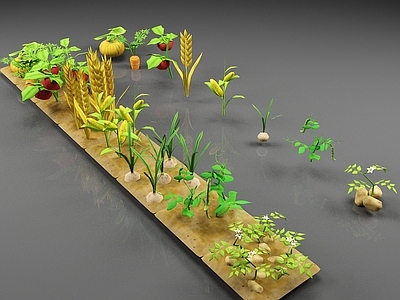 农作物 植物 农作物 农场 农田