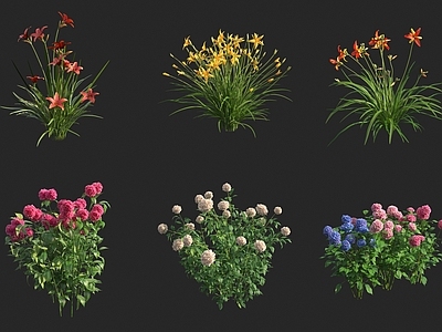 花草组合 百合 绣球花 花草 龙头花 萱草