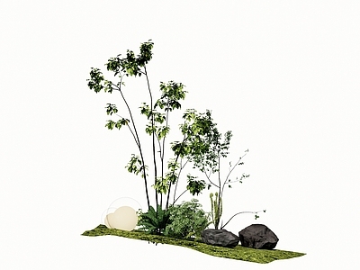 植物组合 现代植物组合 庭院小品 苔藓石头 景观树