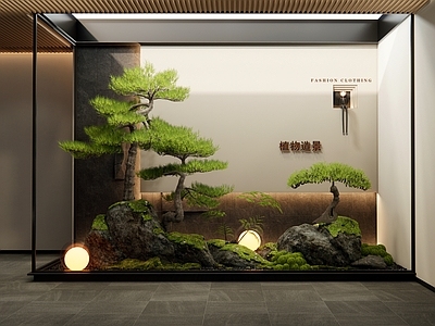 新中式现代室内景观 室内植物造景 苔藓石头 小品 罗汉松树 天井造景