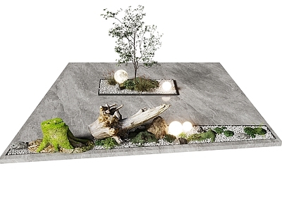 植物组合 盆栽 树池 室内造景 鹅卵石