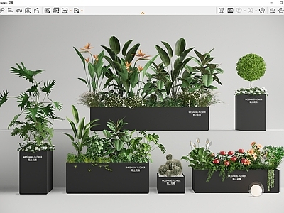 植物组合 植物组合花箱 外摆绿植花箱 绿植盆栽 花草植物堆 花池花坛