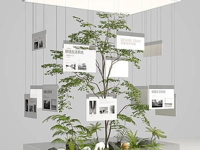 植物组合 景观树 树木 小景 景观 美陈
