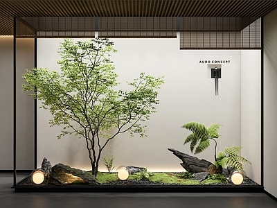 现代禅意室内景观 小品 天井 植物组合 树 植物堆