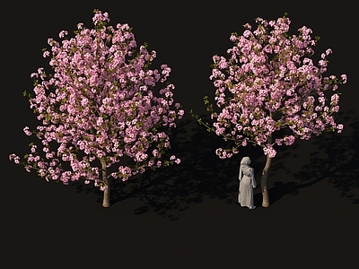 景观树 桃花树樱花树