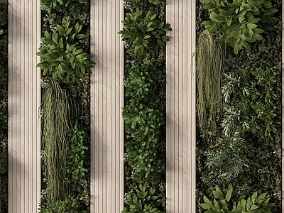 植物堆 绿植 植物墙 藤蔓