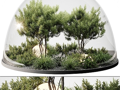 植物组合 现代植物景观