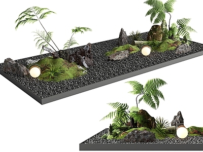 植物堆 植物组合 造景 石头 蕨类 小品