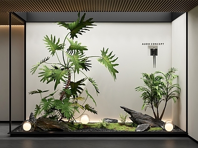 现代室内景观 庭院小品 植物堆 植物组合 盆栽 天井石头