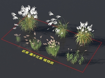 花草组合 荻草 灌木花草