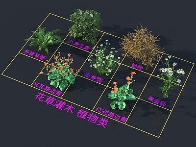 花草组合 灌木花草 植物